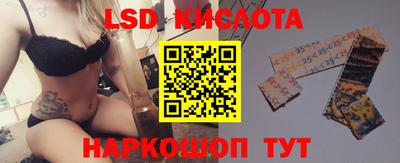 шишки Гай