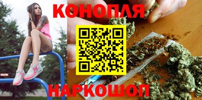 шишки Гай