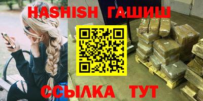 шишки Гай