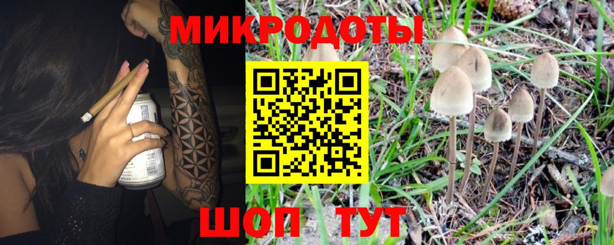 Ейск  Галлюциногенные грибы Psilocybe  Вход с VPN  Псилоцибиновые грибы ЛСД 